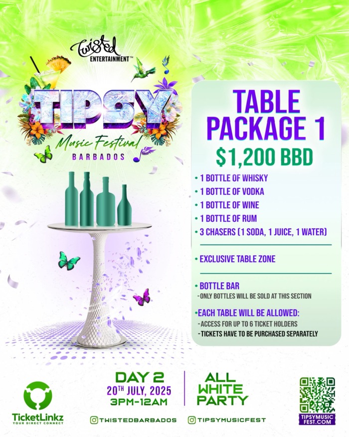 TIPSY MUSIC FESTIVAL 2025 - Image 8