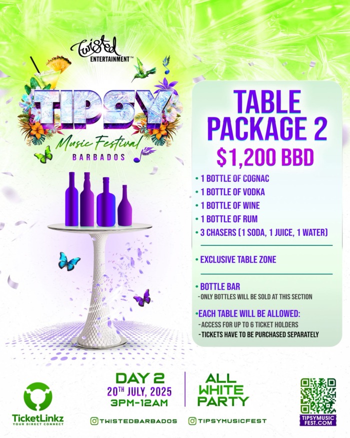 TIPSY MUSIC FESTIVAL 2025 - Image 7