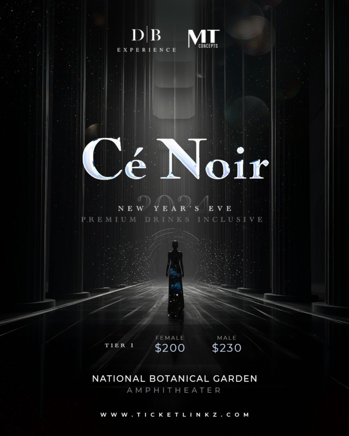 Cé Noir - The Ultimate NYE Party by MT Concepts & DB Experiences